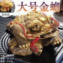 Large Color tea favor decoration boutique ke yang tea tea Zen tea ceremony jewelry creative water toad Unicorn