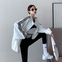 2021 new design sense sports long sleeve striped sweater fashion temperament letter print zipper top autumn and winter