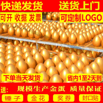 Golden egg wholesale golden egg lottery props opening activities golden egg shelf custom big gold egg factory plaster golden egg