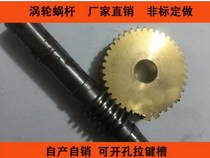 Copper Eddy worm 1 1 5 2 2 5 3 4 5 Die 20 30 40 50 60 gear customized processing