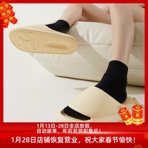 Ants love spring and summer new simple pure pigment plate couple models men and women home sandals and slippers