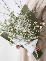 Longliu fresh branches water snow willow dry branches hydroponic plants vases real flower bouquets flower arrangement branches dried flowers ornaments decoration