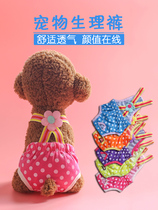Pants Teddy panties puppy safety pants straps supplies aunt menstrual pants mother dog pet health physiology