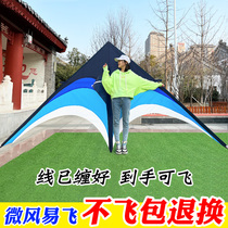 Kite adults special super large adult breeze easy to fly new net red 2021 new Weifang factory direct sales