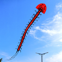 Centipede kite 2022 new new adult special net red adult large high-end three-dimensional software high quality