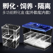 Peacock fish breeding deity fish tank non-acrylic isolation box extra-large spawning hatchbox production of small fish fry