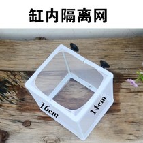 Small fish Lower Cub Separator Fish Tank Inside small fry Fry Isolated Net Breeding Box Separating Mesh Peacock Fish Dense Web Production