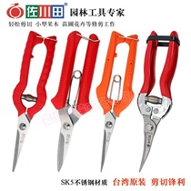 Sagawa thin fruit picking scissors fruit gardening twig saw Vine cut Vine betel nut orange citrus flower trimmer scissors