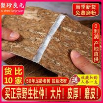 Eucommia Eucommia 500g Chinese herbal medicine Duzhong skin bark powder tea brewing wine with no Morinda officinalis