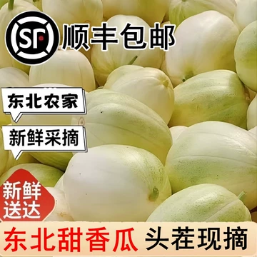 中国香瓜5k gクール便 中国香瓜5kgクール便 中国香瓜5k g