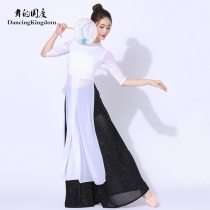 Modal classical dance costume summer womens coat dance costume practice clothing body rhyme gauze elegant fairy Chinese style