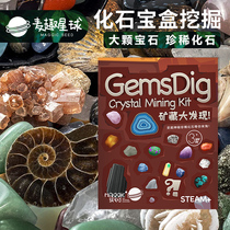 Maoqu Planet Childrens Archaeology Blind Box Fossil Crystal Digging Collection Toys Handmade Treasure Hunt Gift