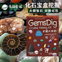 Maoqu Planet Childrens Archaeology Blind Box Fossil Crystal Digging Collection Toys Handmade Treasure Hunt Gift