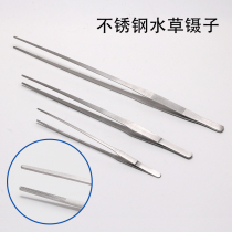 Feeding turtle food tweezers special stainless steel bird repairing insects turtle feeding clip turtle feeding tweezers water grass clip