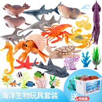 Childrens simulation shark underwater world marine animal biological fish model soft rubber sea turtle octopus great white shark toy
