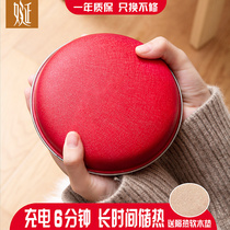 YAN hand-warming rechargeable explosion-proof electric treasure warm baby belt hot water bag electric hand cover electric cake