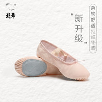 North dance yoga adult dance shoes toddler Virgin soft bottom practice shoes body cat claw dancing girl ballet shoes