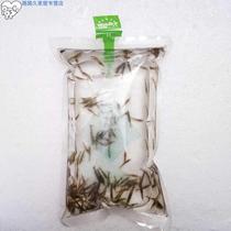 Clear Cylinder Tools Shrimp Grass cylinders Clean Shrimp Scenery Ornamental Shrimp Fresh Water Good Aquatic Little Pet Shrimp Fry