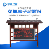  High-precision negative oxygen ion detector Air test instrument display scenic area negative oxygen ion environmental monitoring station