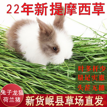Timoxi grass weed pet drying and drafting rabbit grain net weight 500g Dutch pig hay