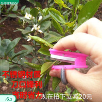 Pepper picking tool finger picking ring thumb knife picking small guillotine cucumber grape pinching beard sharpener