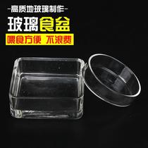 Suspended Type Crystal Shrimp Feeding Basin Glass Shrimp Climbing feeding tray Ornamental Shrimp Feeding Basin Feeding Aerial Shrimp Basin Shrimp Bowl