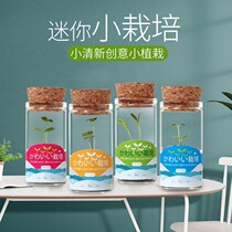 Primary school students boys and girls school gifts prizes creative practical hand gifts birthday gifts wholesale