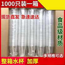Transparent full box commercial large paper cup office disposable cup 1000 plastic cup thick small household