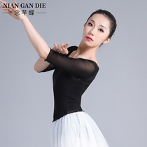 Ballet suit Dance mesh top Adult female practice suit Medium long sleeve stretch yarn coat blouse Classical dance suit
