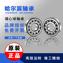 Harbin Self-aligning ball bearings 2307 2308 2309 2310 2311 2312 2313 K TVH C3