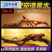 Landscape wooden mane lion lizard climbing sun platform snake guard Palace chameleon chameleon reptile box landscape branches dead wood roots