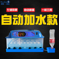 Ikbett automatic water filling incubator household small automatic incubator small chicken duck goose and quail incubator