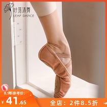 Ye Liuqing dance professional soft bottom display instep non-slip cat claw shoes adult ballet foot shoes practice Shoes dance shoes