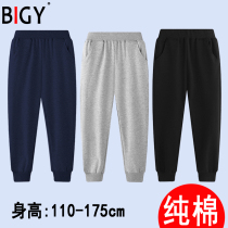 Green Spring Autumn School Pants High School Hidden Blue School Clothes Pants Elementary School Students Winter Plus Suede Thickened 12 Road Bars Sports