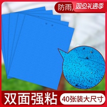 Double-sided you chong ban with yellow sticker armyworm Orchard black Feifei worm agricultural greenhouse thrips sticky flypaper