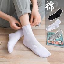 Socks female stockings solid color high-top cotton socks black and white ladies sports socks autumn and winter stockings ins tide