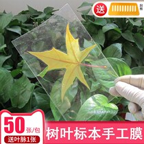 Plastic film leaf specimen making tool plant collection book transparent a4 certificate bookmark diy material