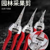 Grape scissors fruit picking cutting tools pruning shears oranges Fruit Gardening fruit and vegetable artifact picking scissors