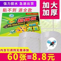 Fly paste fly paper strong sticky fly board killer dip fly mosquito mosquito fly kill Fly Trap restaurant Home