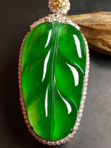 Natural full Yang green leaf pendant 18K gold inlay ice seed A goods jade pendant Myanmar Jade with certificate for men and women