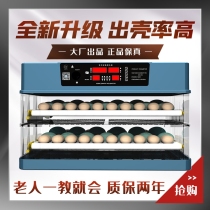 Incubator Small household eggization of small eggs Cole duck goose bird automatic intelligent mini hatching machine hatcher