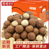 Nonodo fruit creamy flavor whole box 5kg bulk large granules raw nuts pregnant women snacks summer fruit