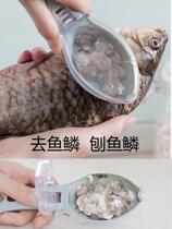 Scrape Fish Scale Killer Fish Tool Fish Scale Shave Squamers To Fish Scale Deities To Scale Scramlike Scales Manual Home
