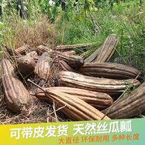 Whole dry loofah wash pan brush bowl artifact whole root thick old loofah dish dish cloth natural long loofah sash cloth