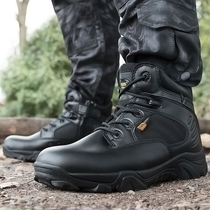 Outdoor special forces combat boots male shock absorption high and low help Delta tactical marine boots Combat training boots Desert shoes