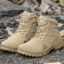 Combat boots High-top tactical boots Non-slip water outdoor hiking shoes Desert boots Land tactical boots Breathable military fan training boots