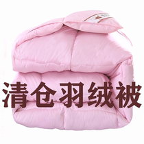 Export thickened duvet 95 white goose down quilt core dormitory warm winter quilt core single double spring and Autumn quilt