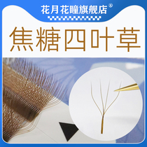 Huayue Huayue Pi Mei Zi shop special caramel color Clover grafts eyelashes automatic flowering planting false eyelashes