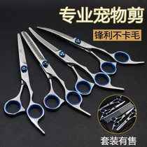 Pet haircut Teddy groomer groomer scissors hair dog shearing tool trim set Shaver styling