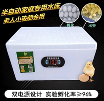 Mini water bed incubator emulsifier brood incubator chicks controller temperature control heating plate chicken new egg tray